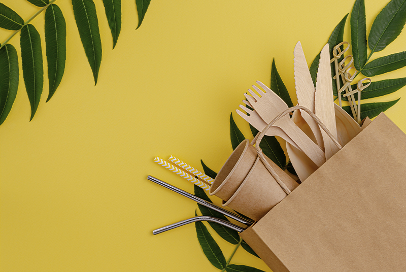 Czy jednorazowe zastawy stołowe zanieczyszczają środowisko?