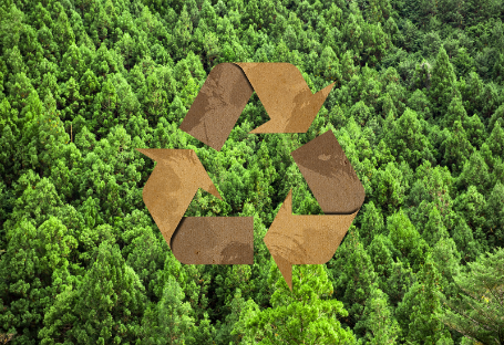 Przewodnik FSC, EUDR i PEFC dotyczący zamówień na jednorazowe artykuły gastronomiczne
